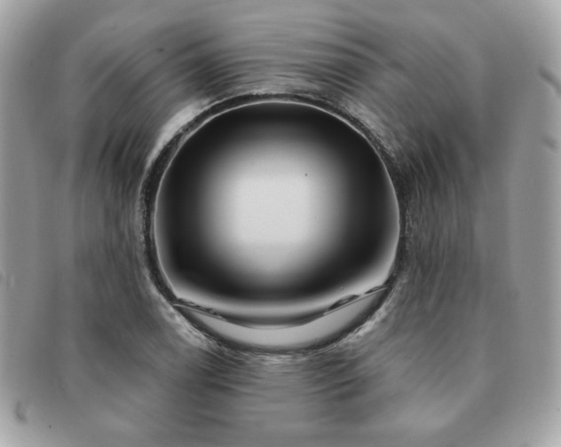 X0000091531122200708171214