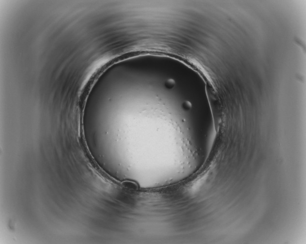 X0000091531123200708171214
