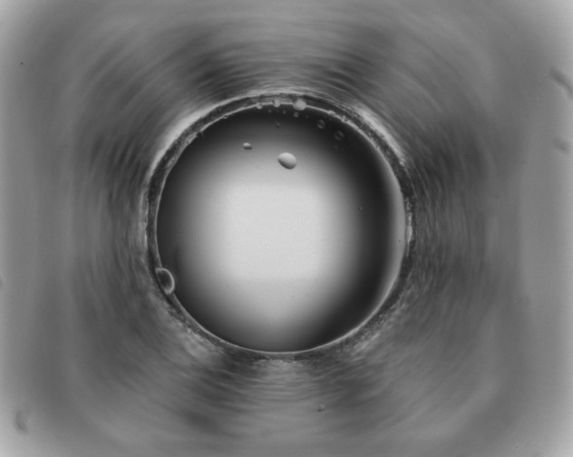 X0000091531124200708171214