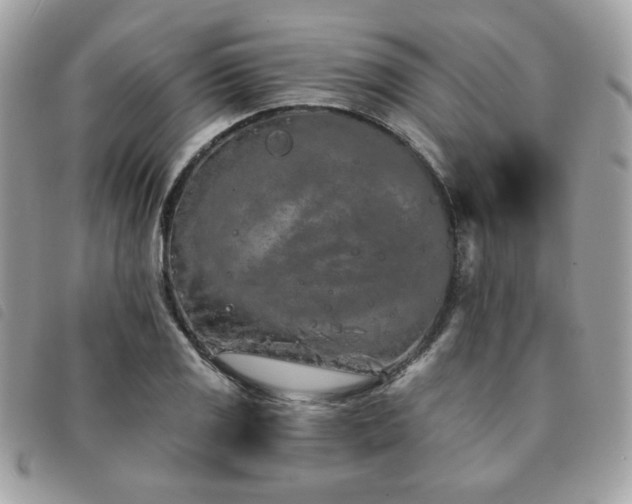 X0000091531125200708171214