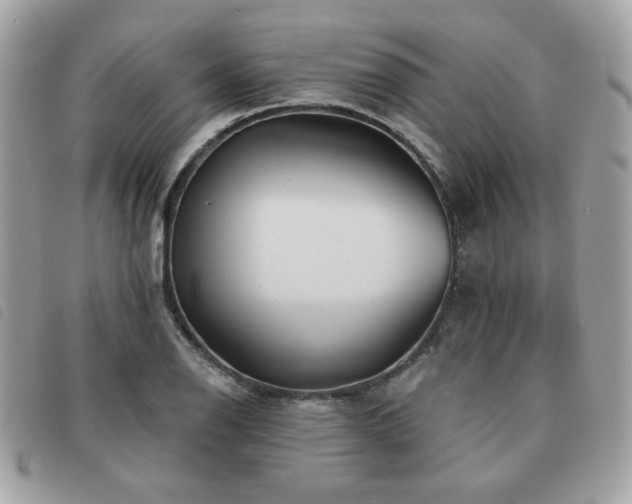 X0000091531126200708171214