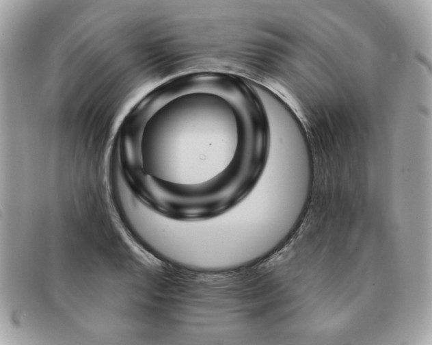 X0000091531128200708171214