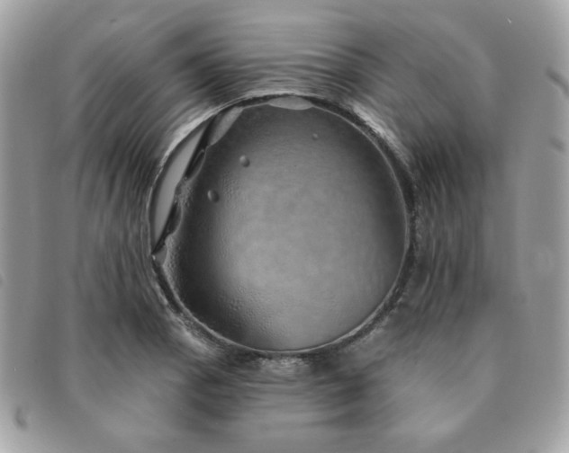 X0000091531129200708171214