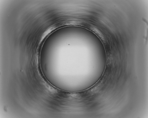 X0000091531130200708171214