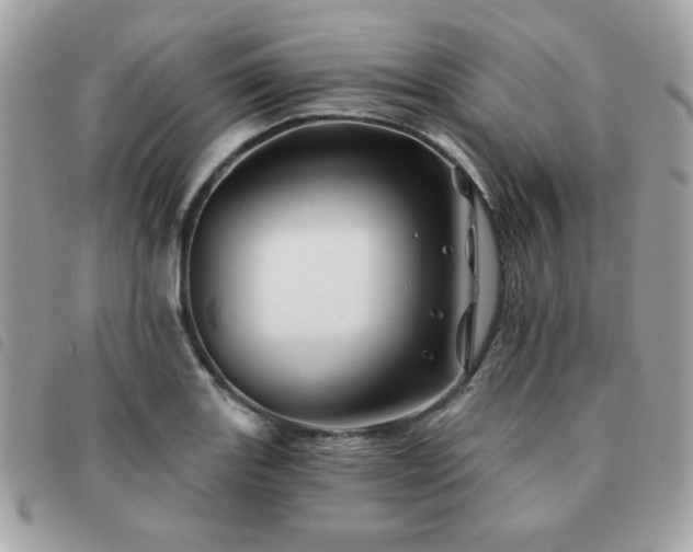 X0000091531131200708171214
