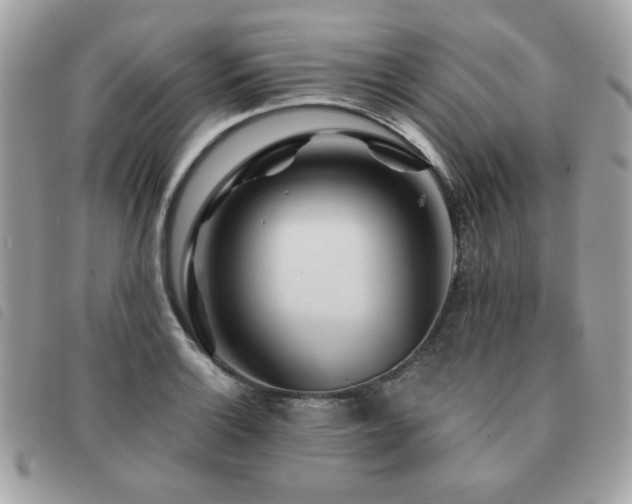 X0000091531132200708171214