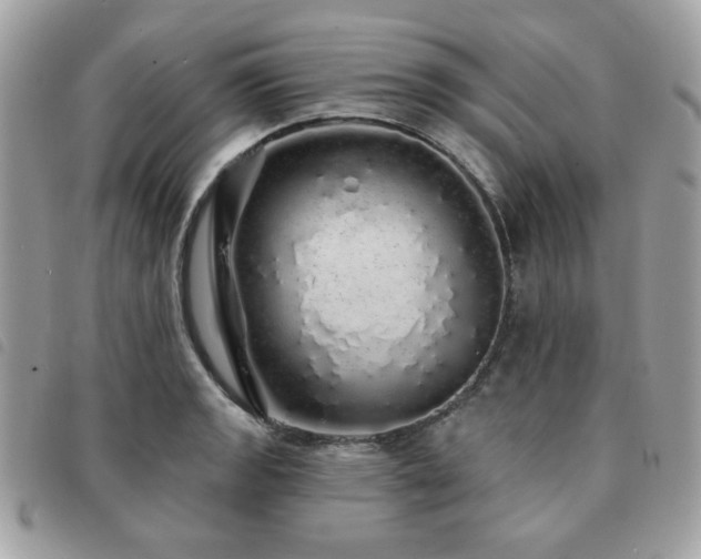 X0000091531133200708171214