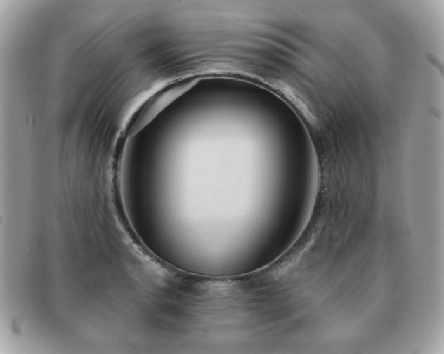 X0000091531134200708171214