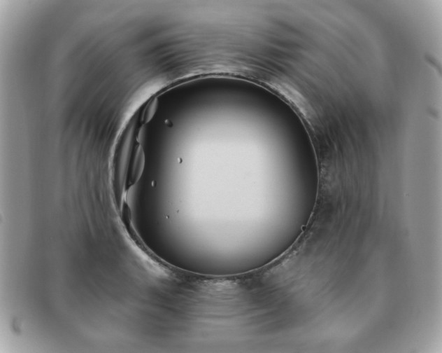 X0000091531135200708171214