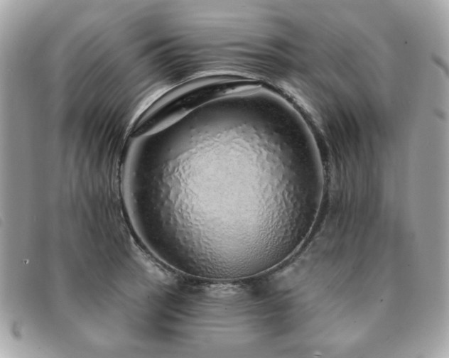 X0000091531137200708171215