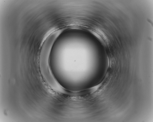 X0000091531138200708171215