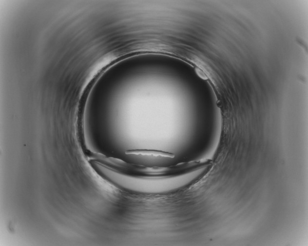 X0000091531139200708171215