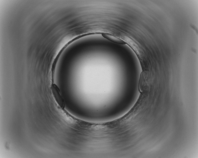 X0000091531140200708171215