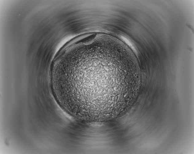 X0000091531141200708171215