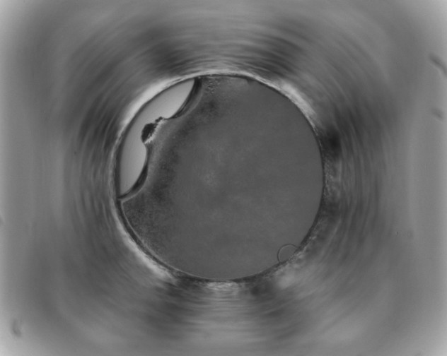X0000091531142200708171215