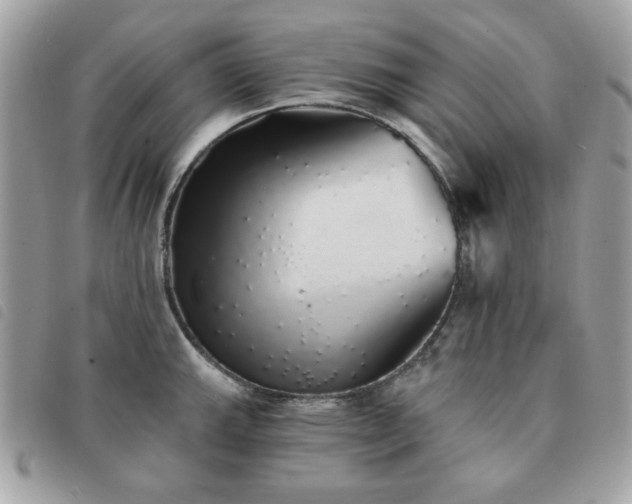 X0000091531143200708171215