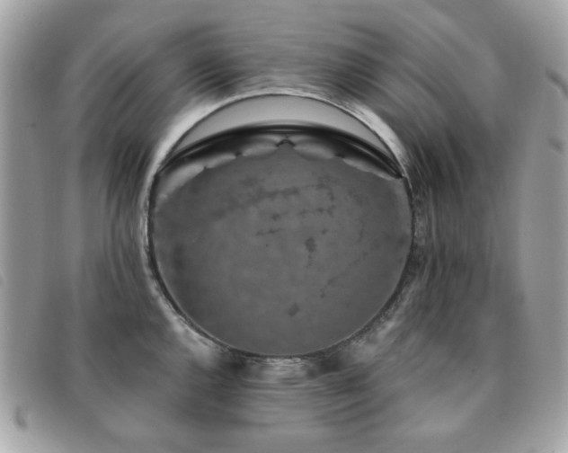 X0000091531144200708171215