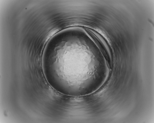 X0000091531145200708171215