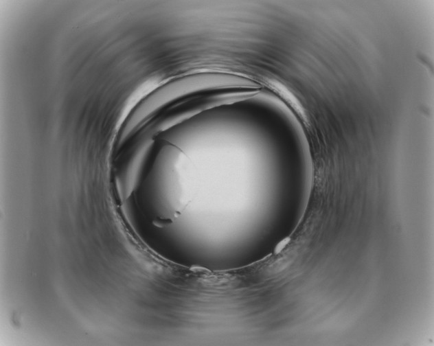 X0000091531146200708171215