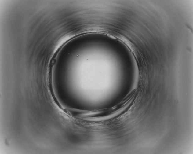 X0000091531147200708171215