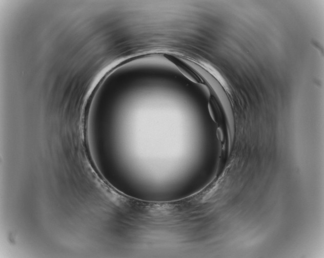 X0000091531148200708171215