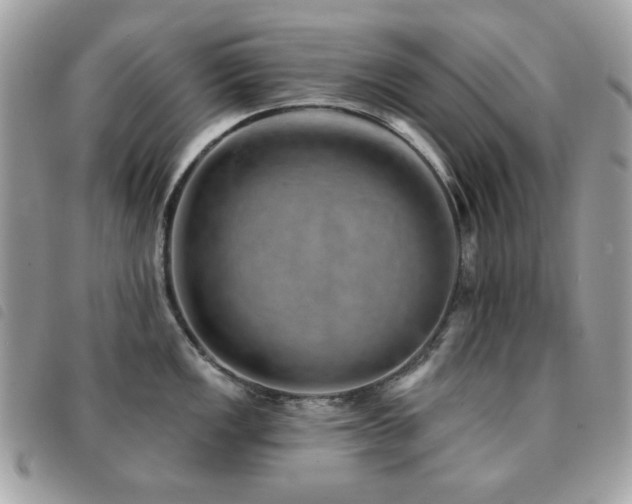 X0000091531149200708171215