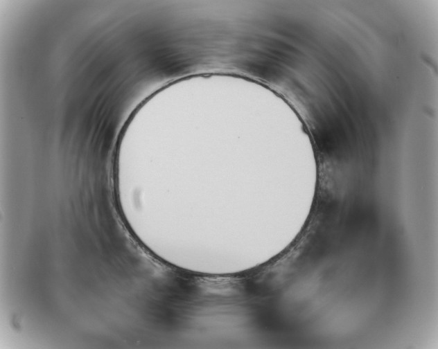 X0000091531150200708171215