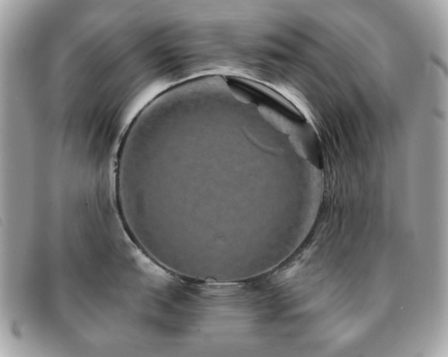 X0000091531151200708171215