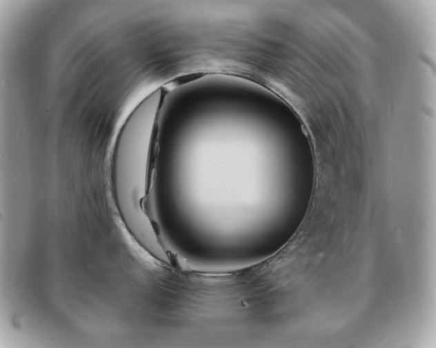 X0000091531152200708171215