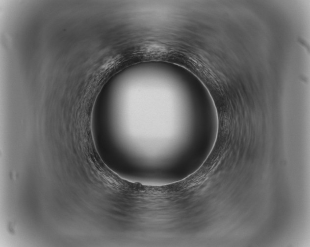 X0000091531153200708171214