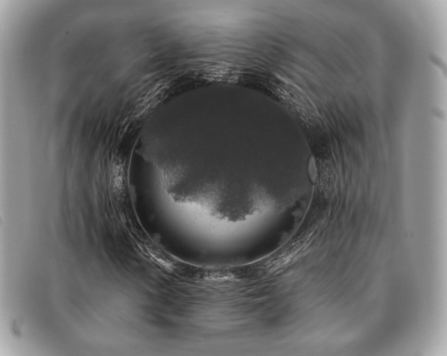 X0000091531154200708171214