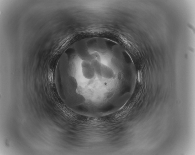 X0000091531155200708171214