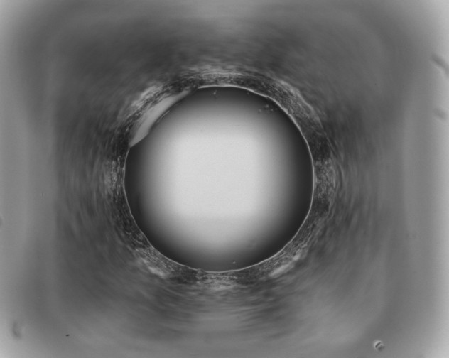 X0000091531157200708171214