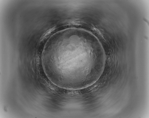 X0000091531159200708171214
