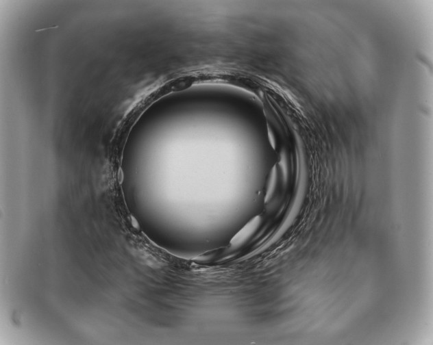 X0000091531160200708171214