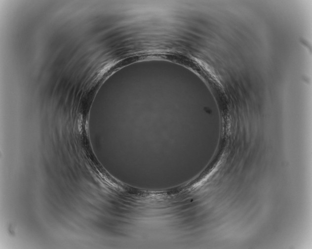 X0000091531161200708171214