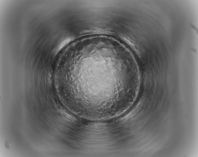 X0000091531163200708171214
