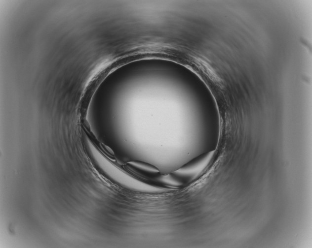 X0000091531164200708171214