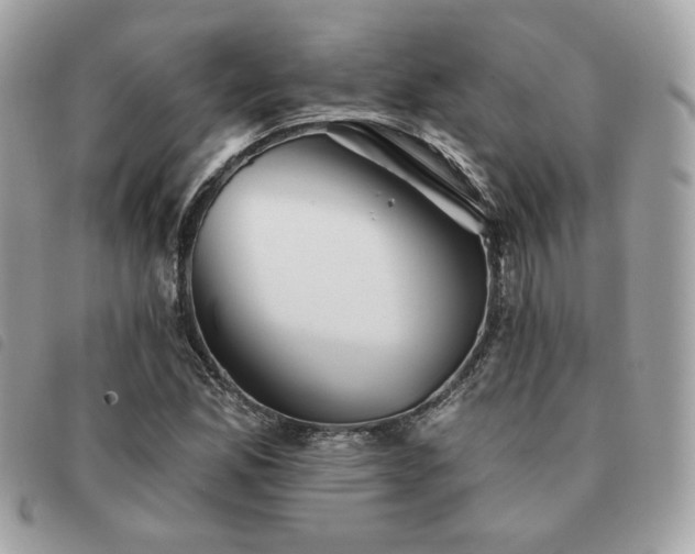 X0000091531165200708171214