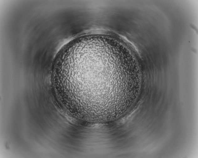 X0000091531166200708171214