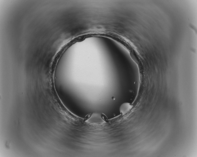 X0000091531168200708171214