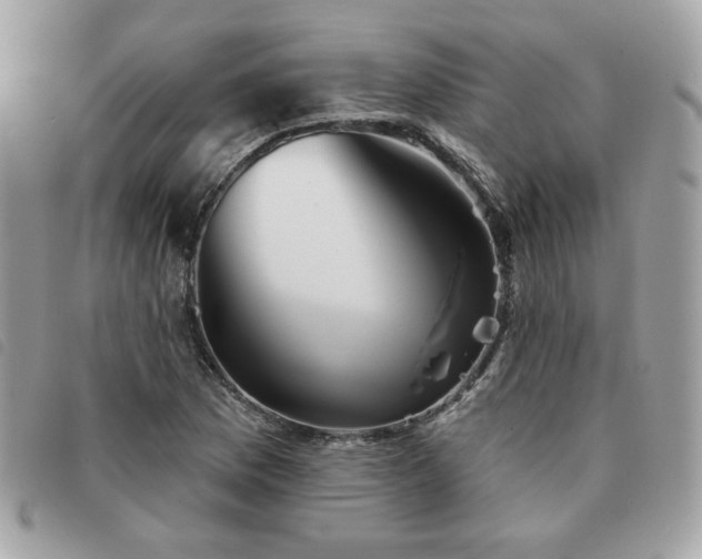 X0000091531169200708171214