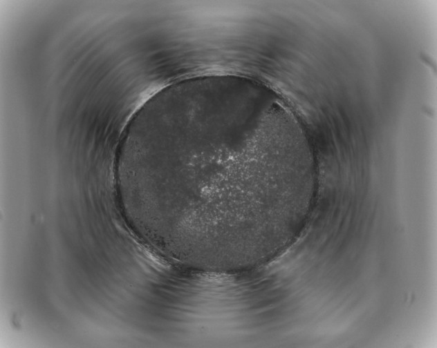 X0000091531170200708171214