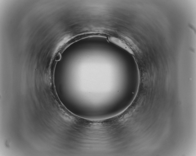 X0000091531172200708171214