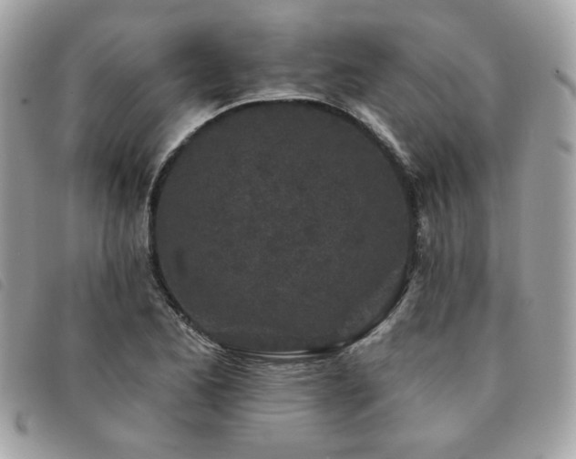 X0000091531173200708171214