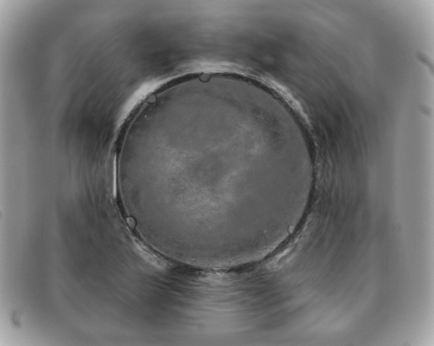 X0000091531175200708171214