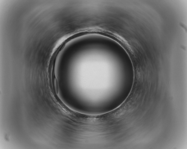 X0000091531176200708171214