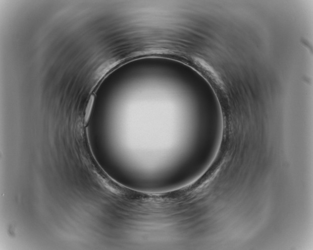X0000091531177200708171214