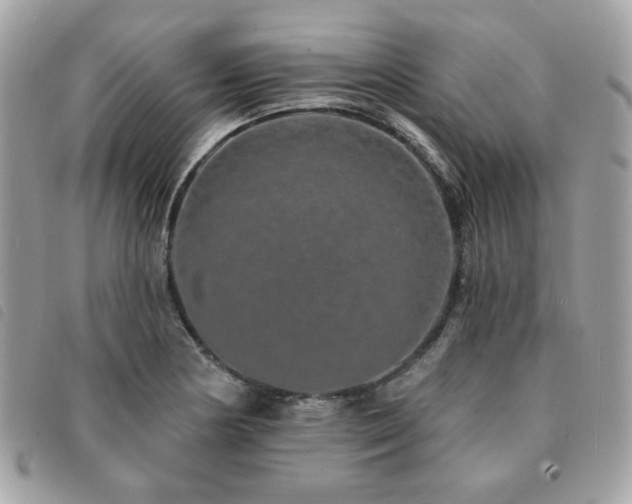 X0000091531178200708171214