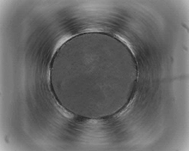 X0000091531179200708171214